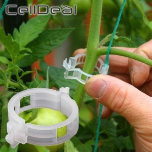 50/100pcs Plastic Plant Clips Supports Connects Reusable Protection Grafting Fixing Tool Gardening Supplies for Vegetable Tomato