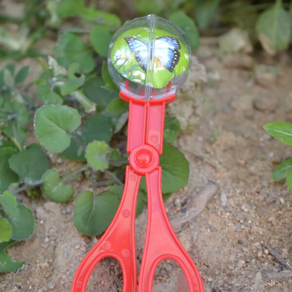 Bug Insect Catcher Scissors Tongs Tweezers Scooper Clamp Kids Toy Cleaning Tool For Children Toy Handy