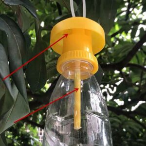 Fruit Fly Trap Killer Plastic Yellow Drosophila Trap Flypaper Insect Pest Control For Home Farm Orchard 6 * 6 * 2cm